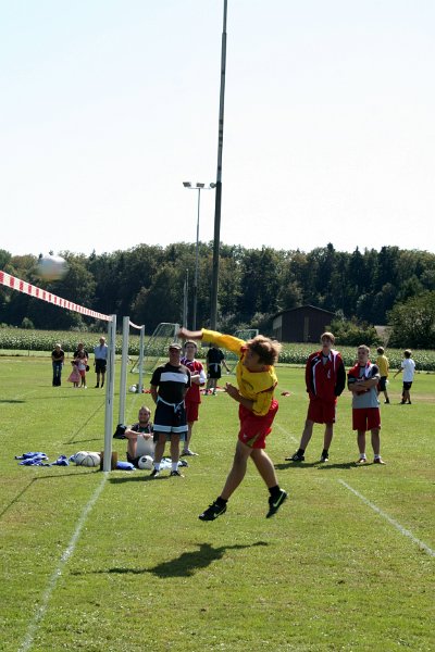 IMG 8690