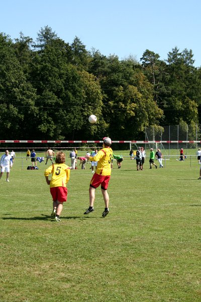 IMG 8718