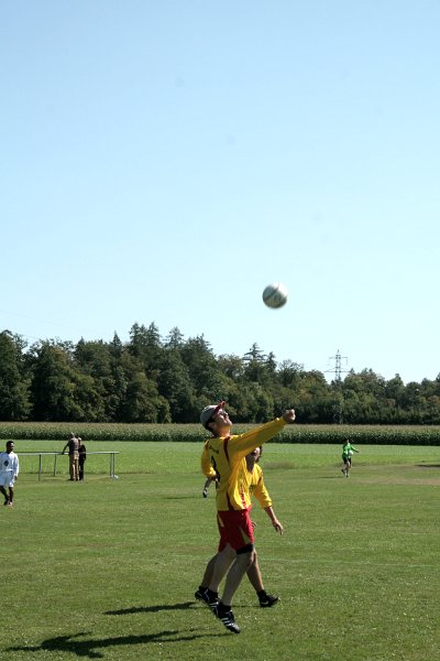 IMG 8729