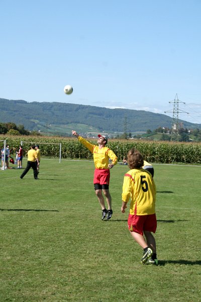 IMG 8739