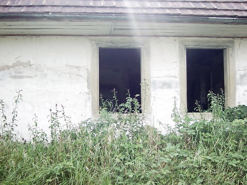 DSC04380