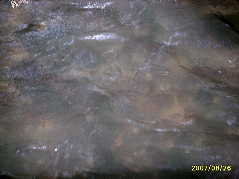 S8000892