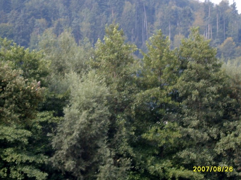 S8000896