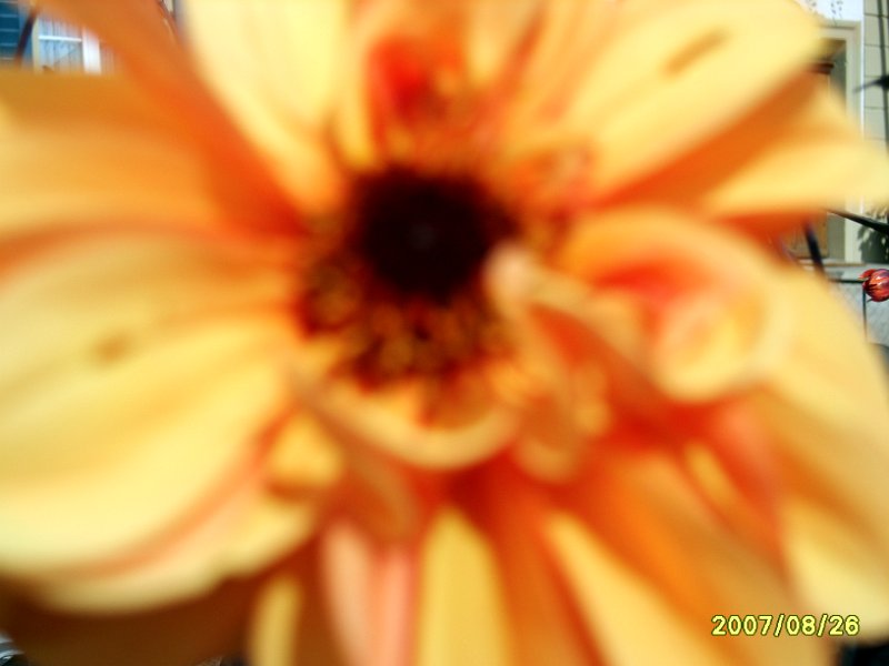 S8000900