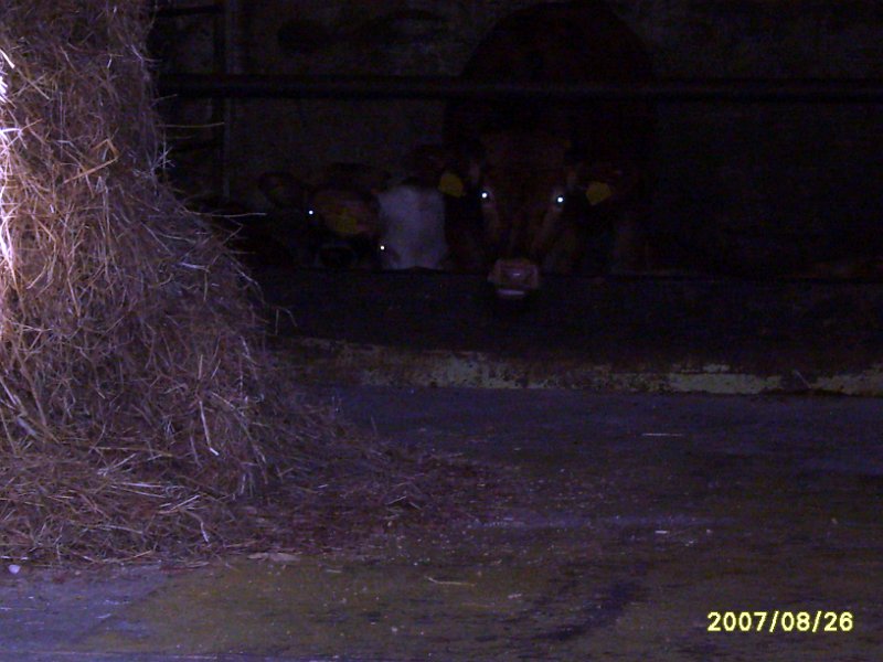 S8000907