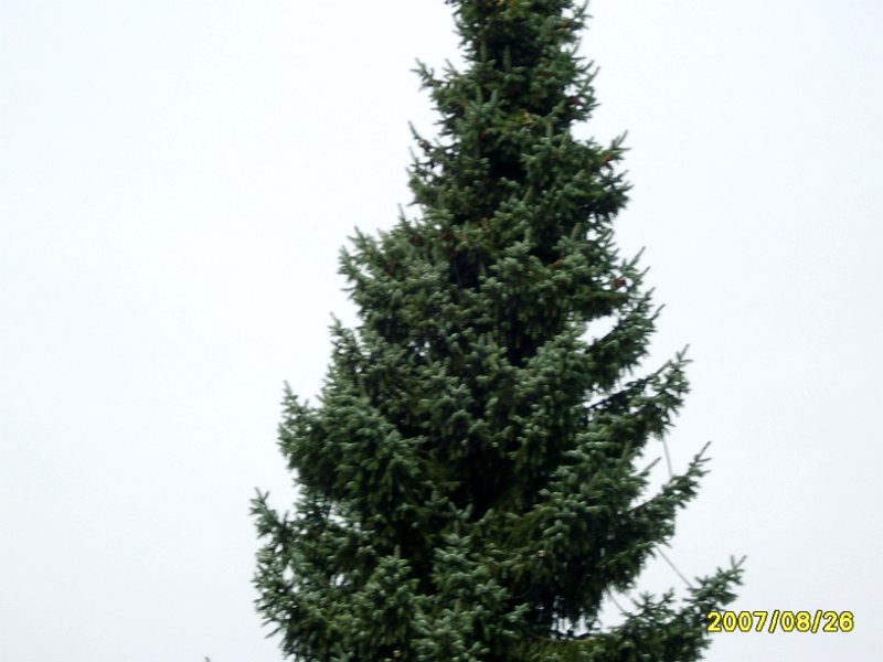 S8000908
