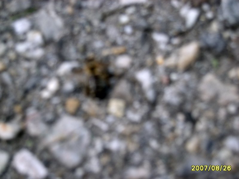 S8000916