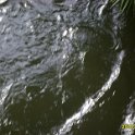 S8000893