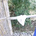 DSC04367