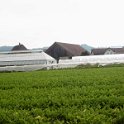 DSC04370