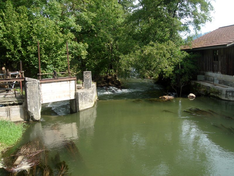 bilder dok 5053 002