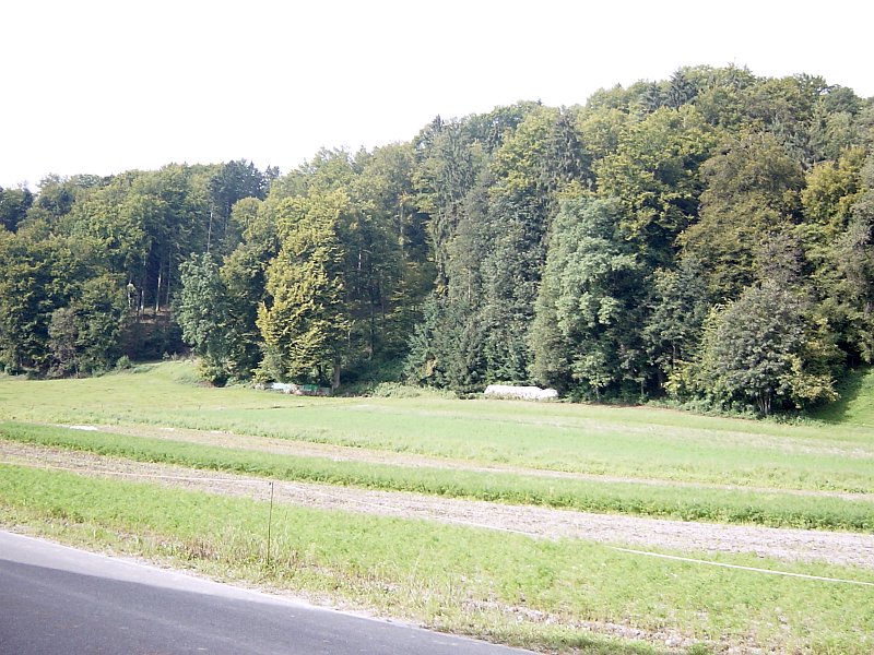 DSC04366