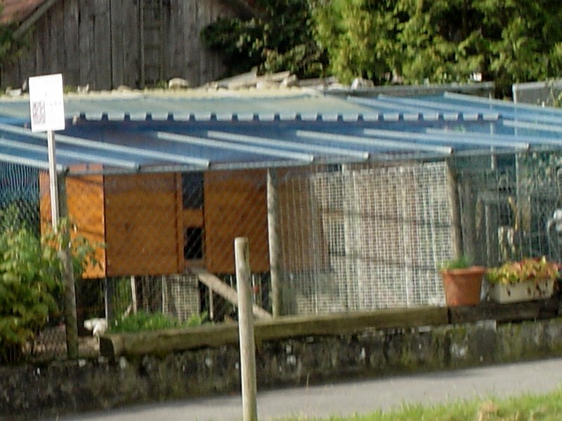 DSC04368