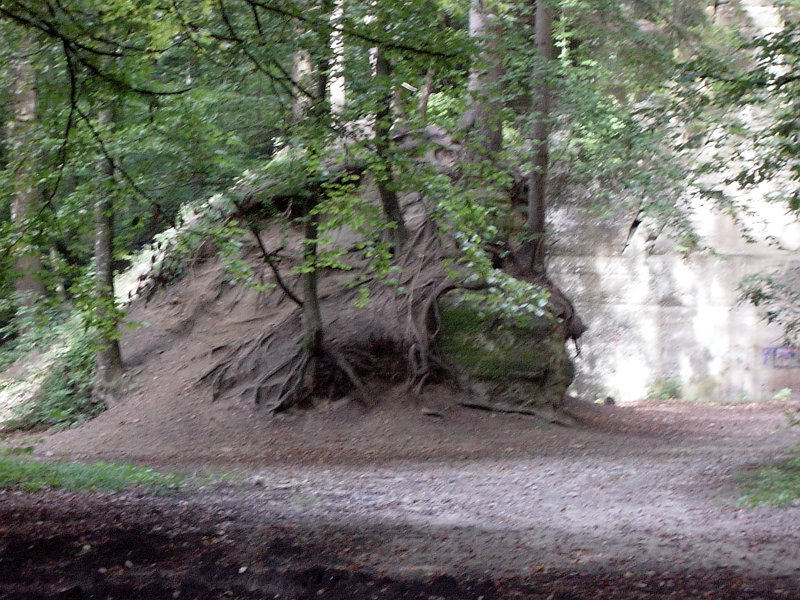 DSC04376