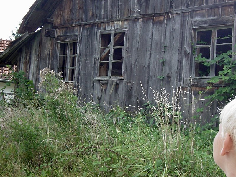 DSC04381