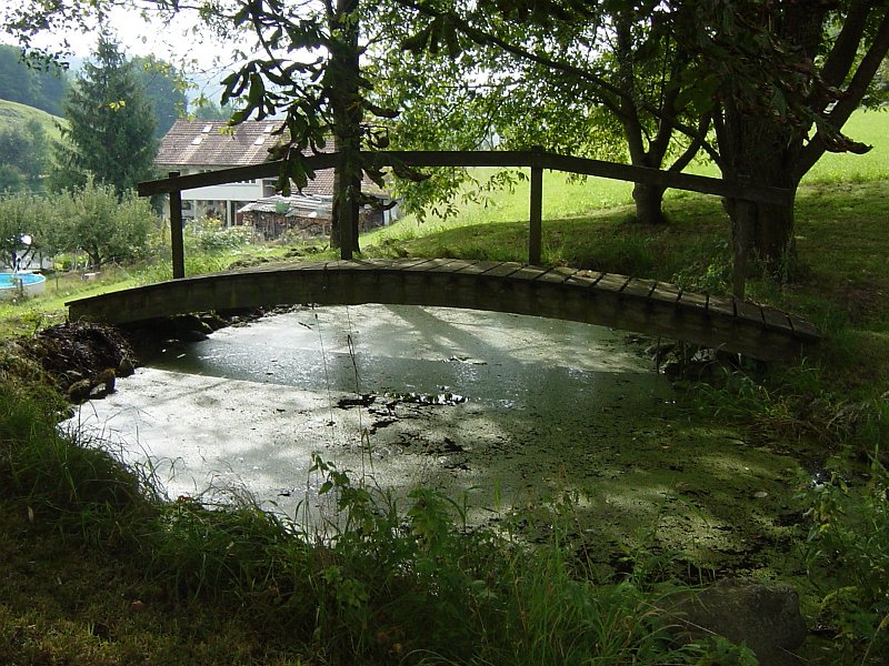 DSC04382