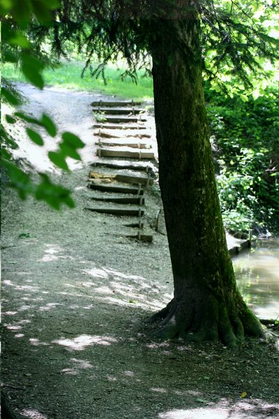 IMG 0935